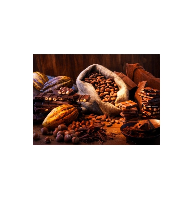 Cacao en polvo  Organico 400g