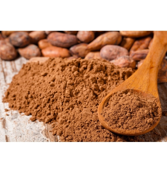 Cacao en polvo  Organico 400g