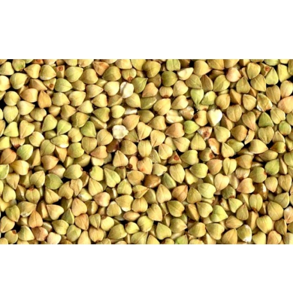 Granos de Alforfón Orgánico