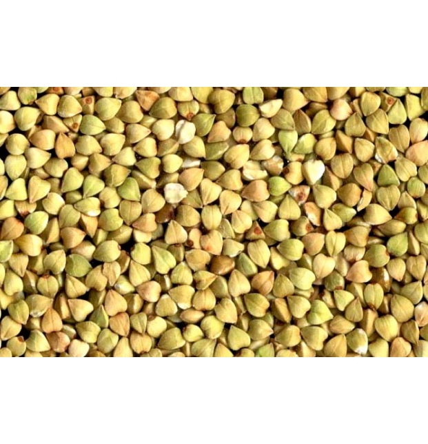 Granos de Alforfón Orgánico