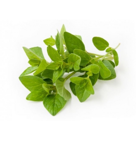 Aceite de Orégano orgánico silvestre 30ml