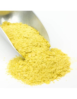 Levadura Nutricional Hojuela pequeña 1kg Nutritional Yeast granel