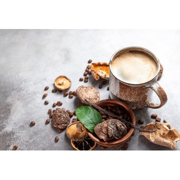 Mezcla de 7 Hongos Adaptogenos Organicos extracto en polvo  100g